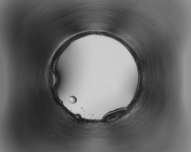 X0000094170926200711161705