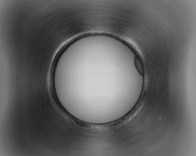 X0000094170928200711161705