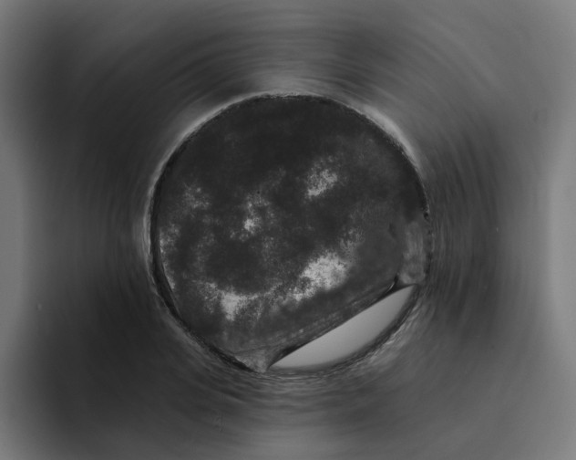 X0000094170935200711161705