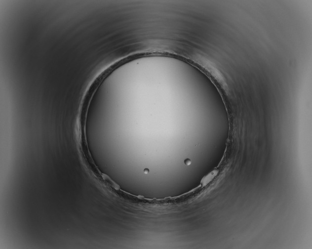 X0000094170936200711161705