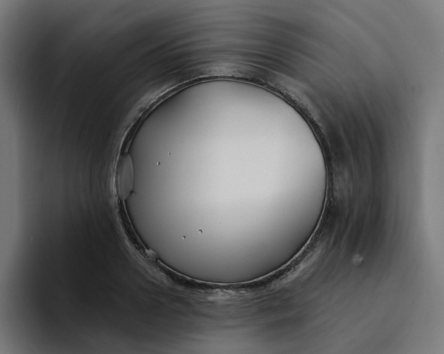 X0000094170938200711161705