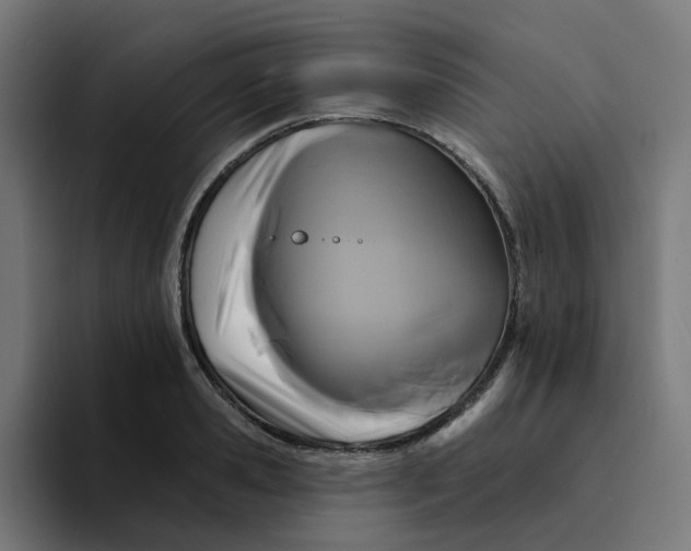 X0000094170941200711161705