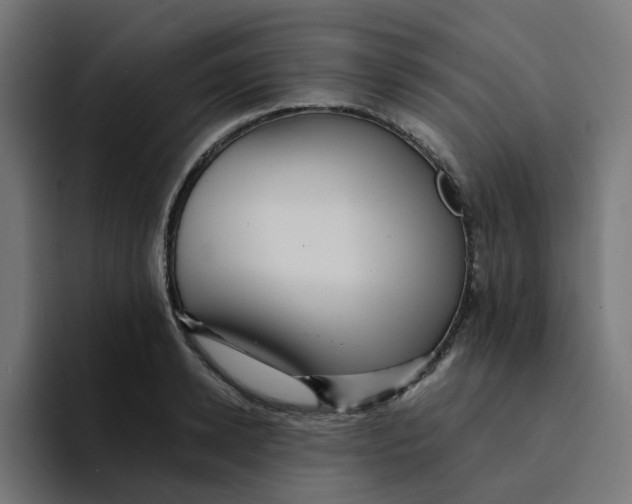 X0000094170942200711161705