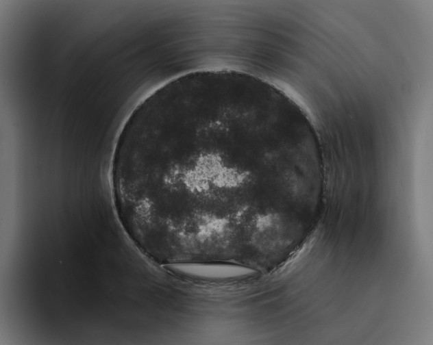 X0000094170943200711161705