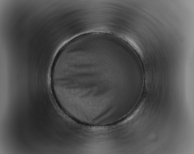 X0000094170944200711161705