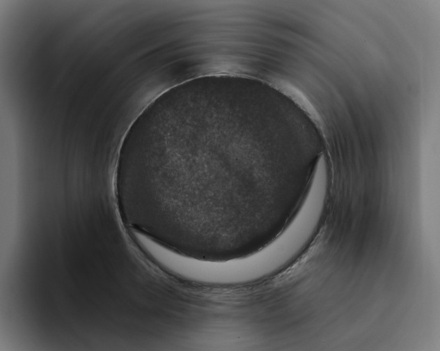 X0000094170946200711161705