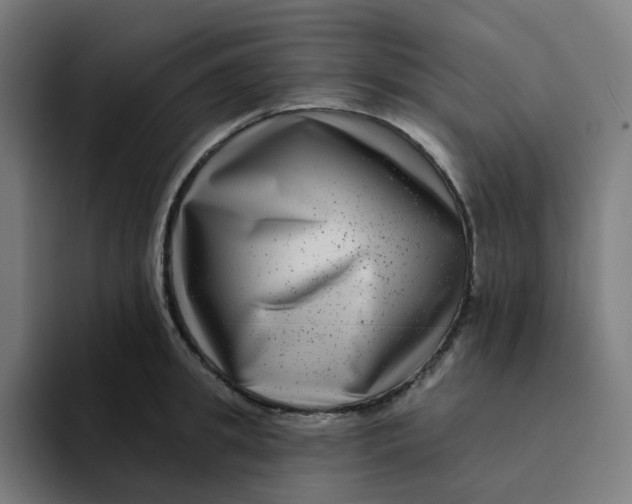 X0000094170949200711161705