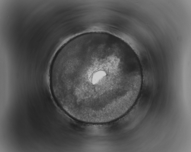 X0000094170950200711161705