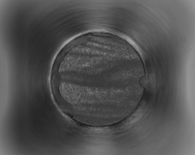 X0000094170951200711161705