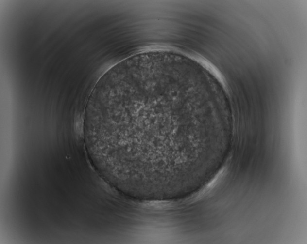 X0000094170953200711161705