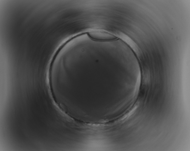 X0000094170958200711161705