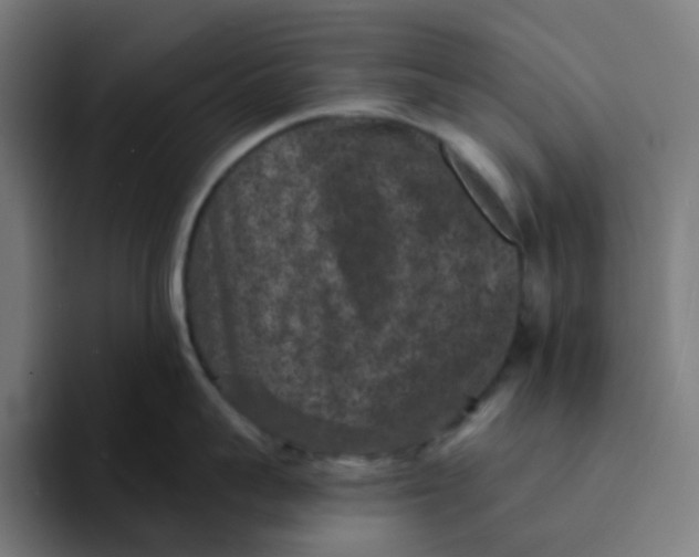 X0000094170959200711161705