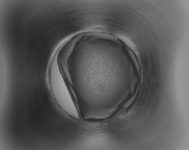 X0000094170960200711161705