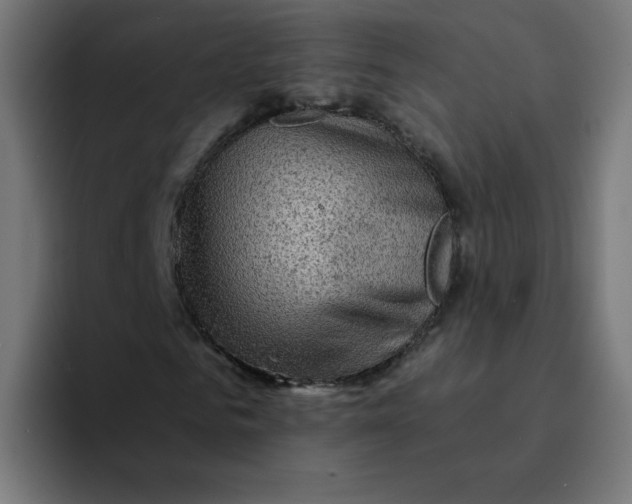 X0000094170961200711161705