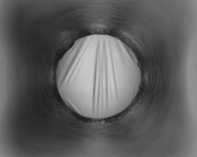 X0000094170964200711161704