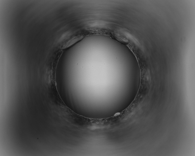 X0000094170965200711161704