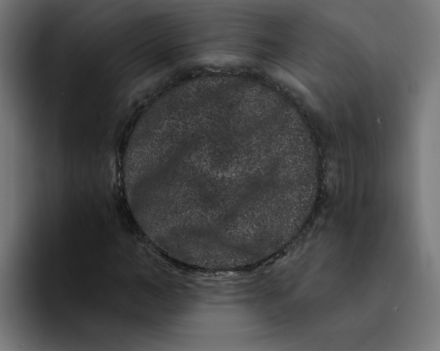 X0000094170966200711161704