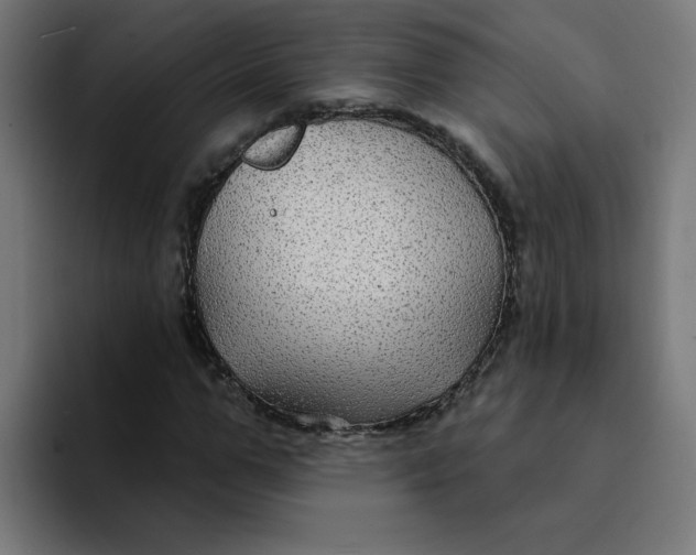 X0000094170967200711161704