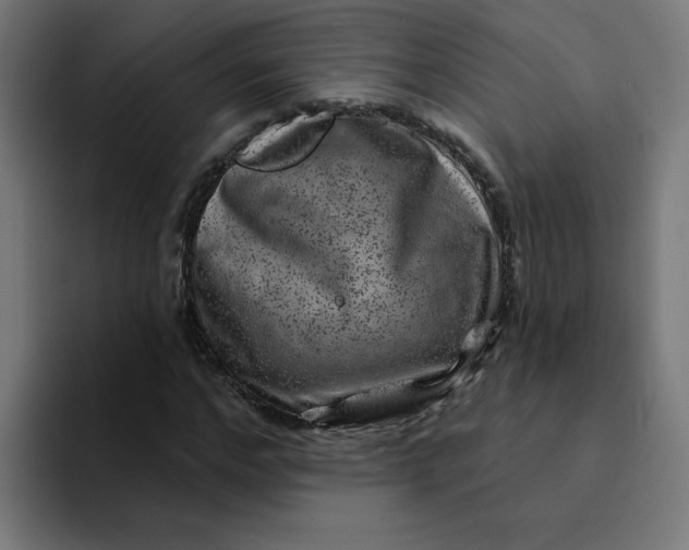 X0000094170968200711161704