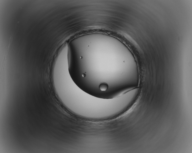 X0000094170969200711161704