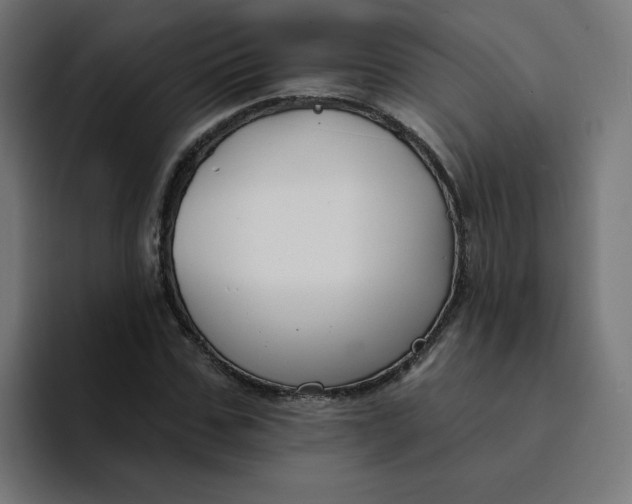 X0000094170971200711161704