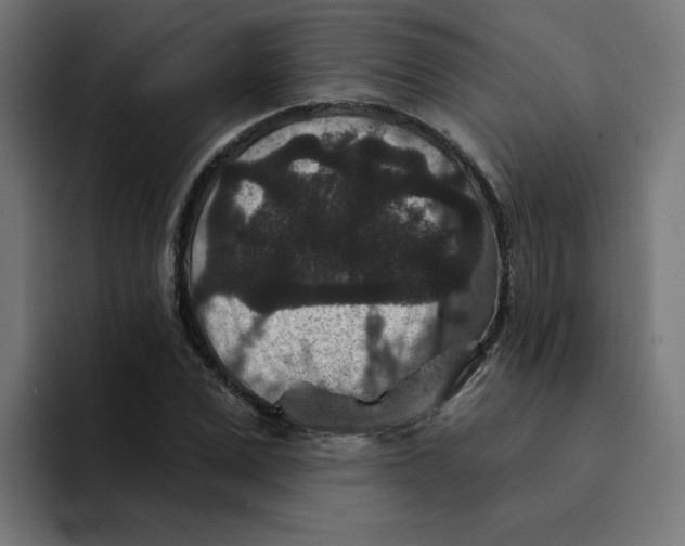 X0000094170975200711161704