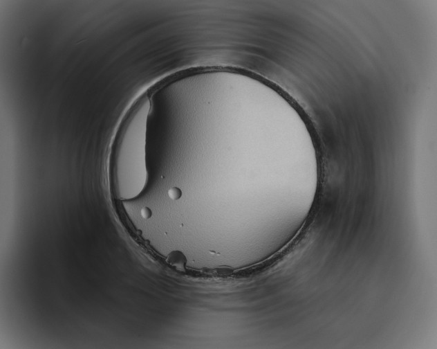 X0000094170980200711161704