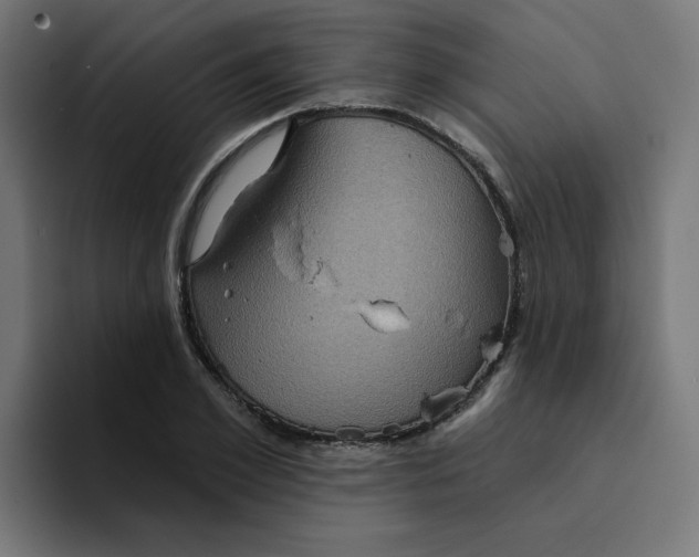 X0000094170981200711161704