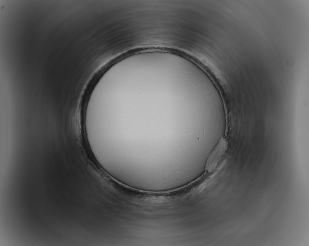 X0000094170982200711161704