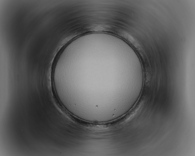 X0000094170986200711161704