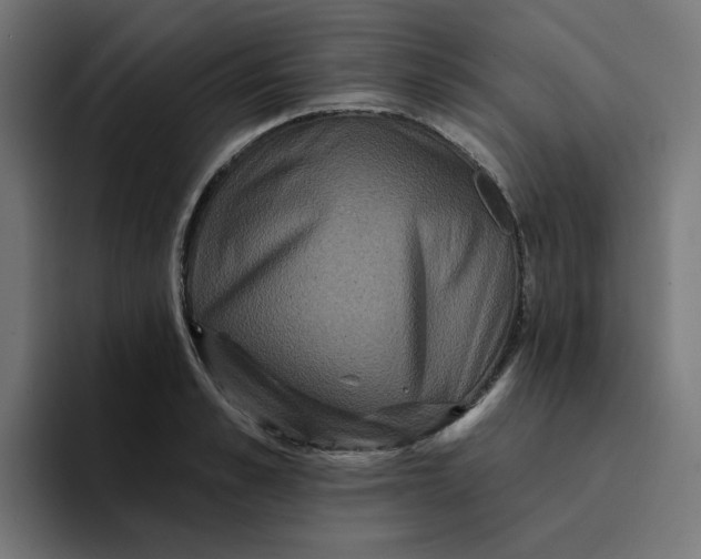 X0000094170989200711161704