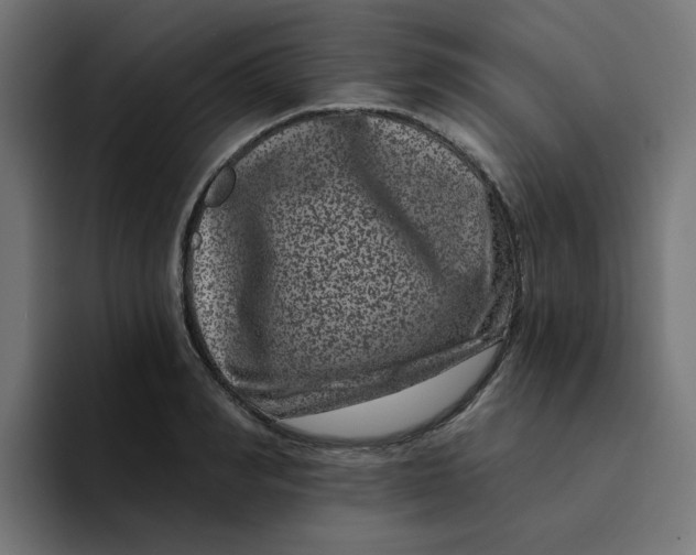 X0000094170990200711161704