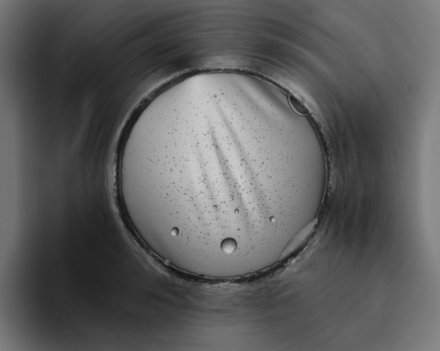 X0000094170992200711161704