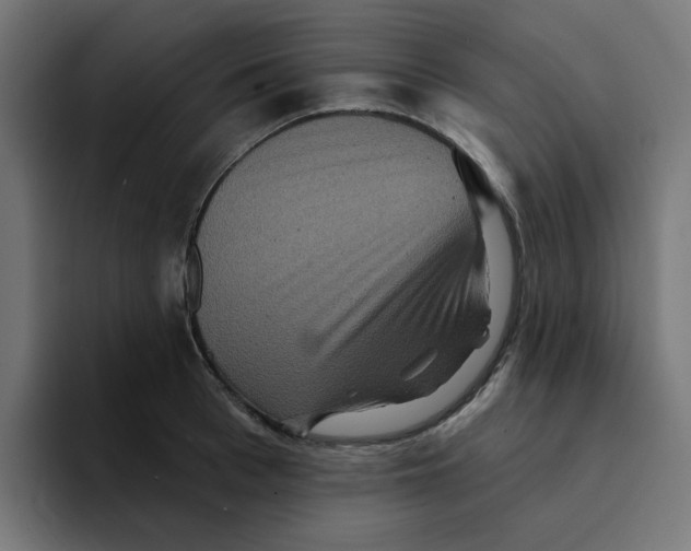 X0000094170993200711161704