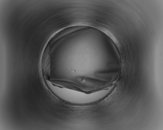 X0000094170996200711161704