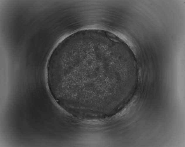 X0000094170998200711161704