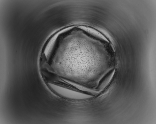 X0000094170999200711161704