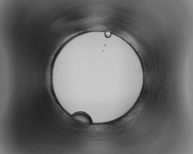 X0000094171000200711161704