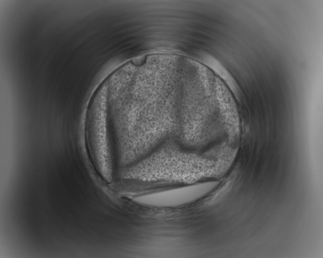 X0000094171002200711161704