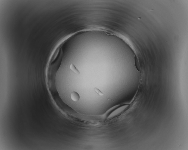 X0000094171003200711161704