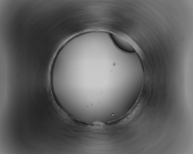 X0000094171004200711161704