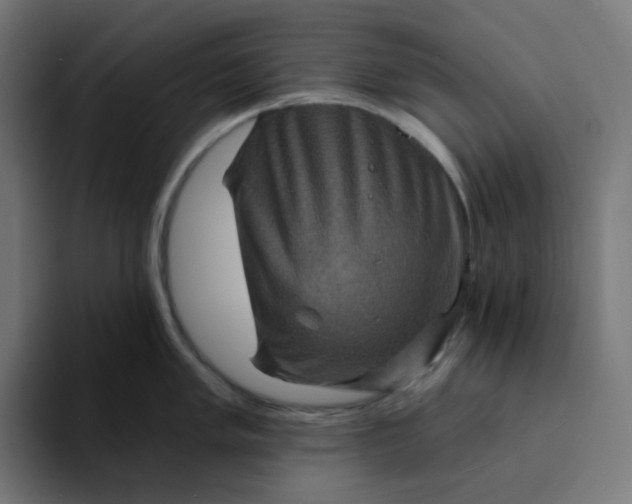 X0000094171005200711161704