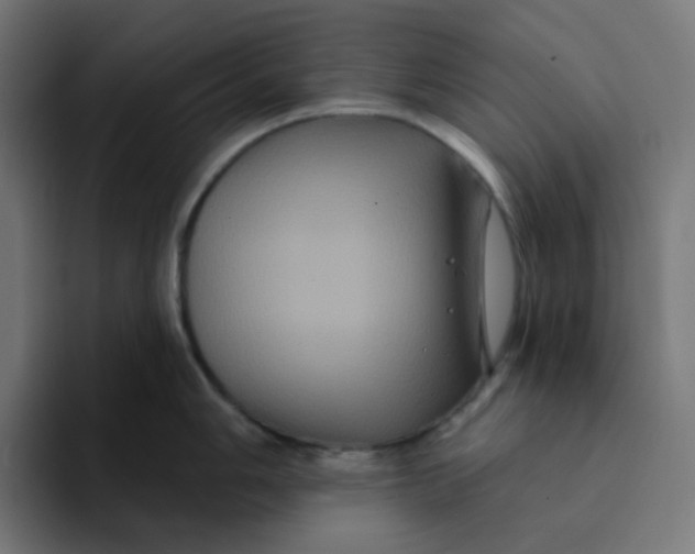 X0000094171006200711161704