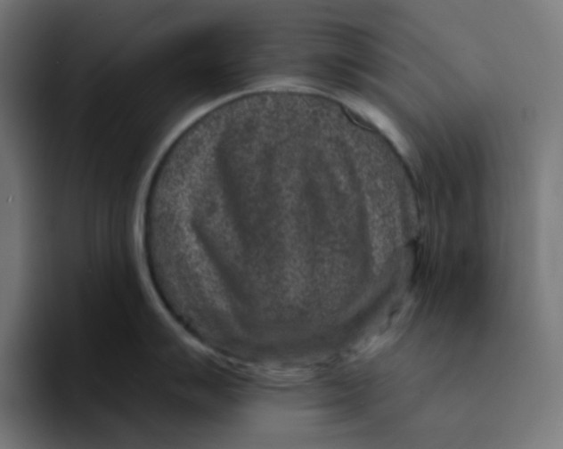 X0000094171007200711161704