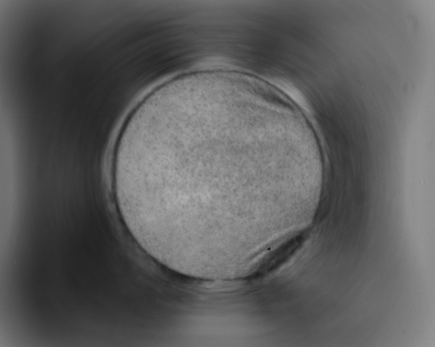 X0000094171008200711161704