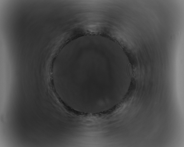 X0000094171009200711161703