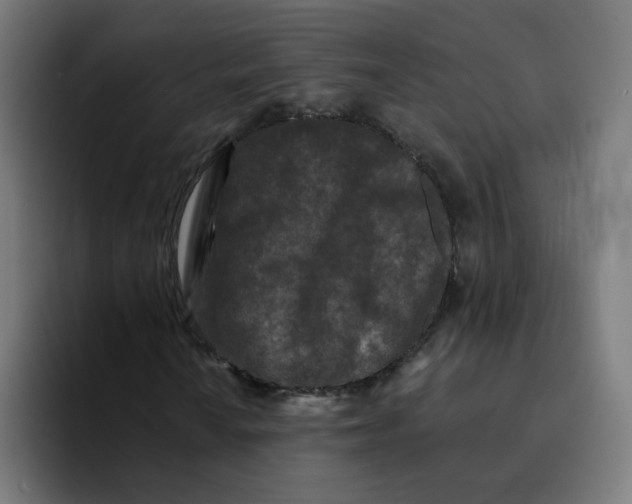 X0000094171010200711161703