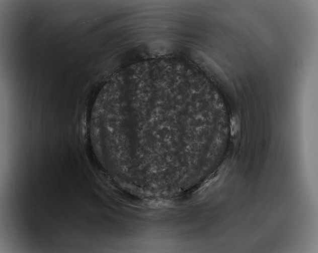 X0000094171011200711161703