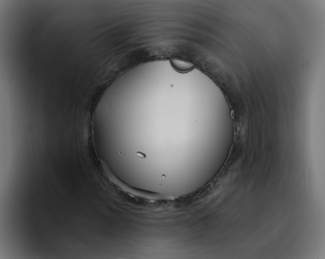 X0000094171012200711161703