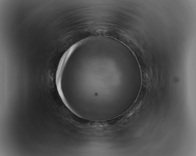 X0000094171013200711161703